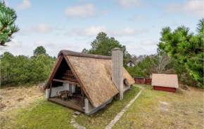 Nice Home In Rømø With Wifi